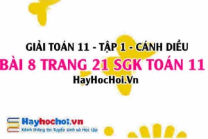 Giải bài 8 trang 21 Toán 11 tập 1 SGK Cánh Diều